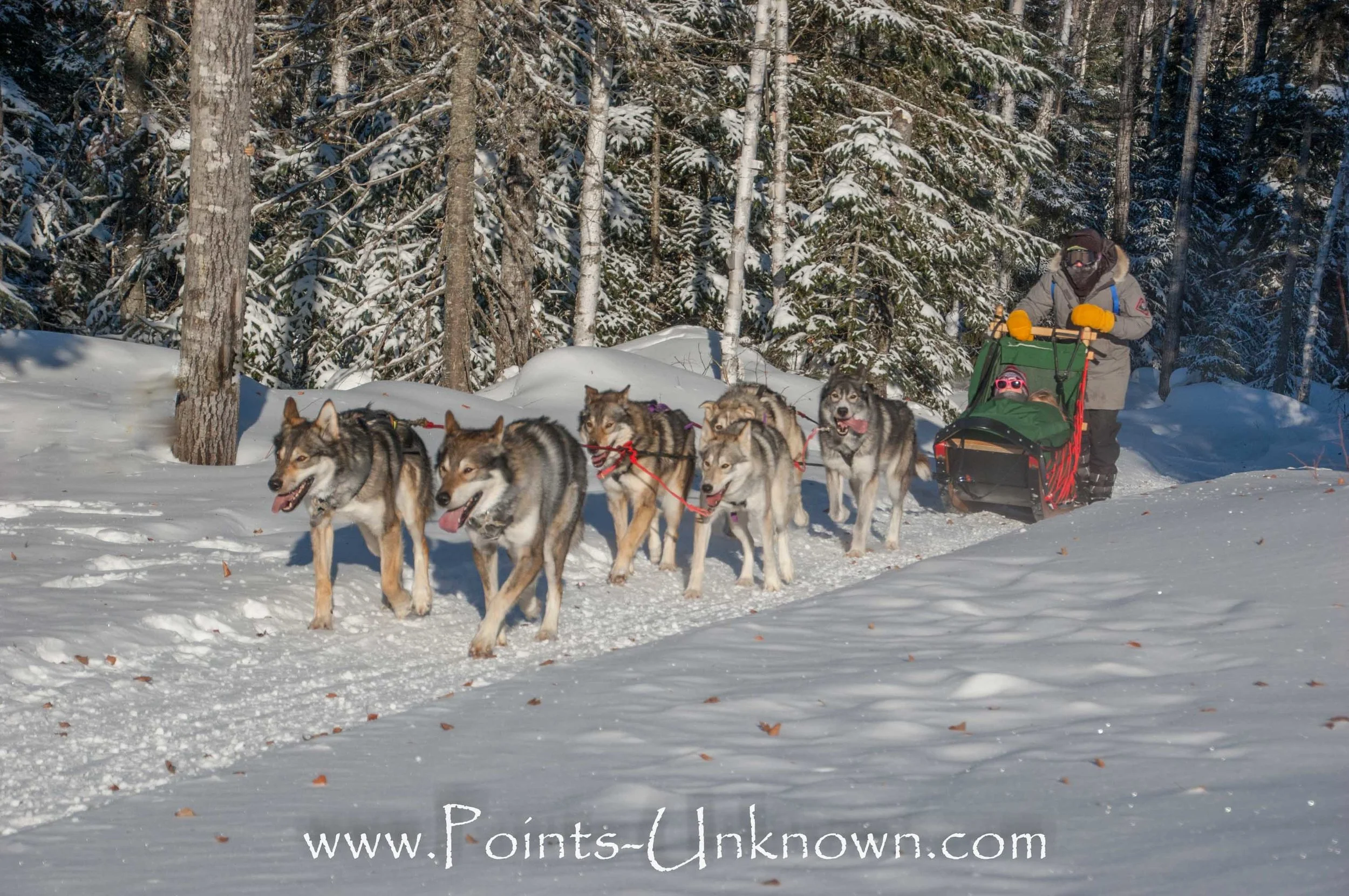 Hedlund husky deals